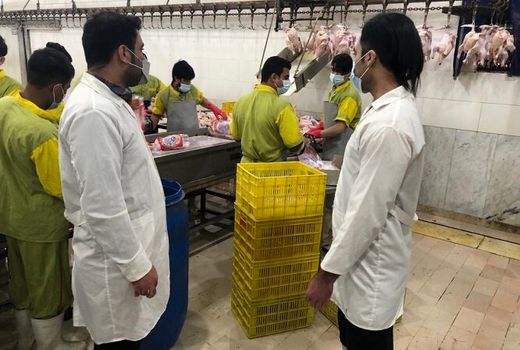 ۱۶ هزار بازدید از مراکز عرضه فراورده‌های دامی انجام شد