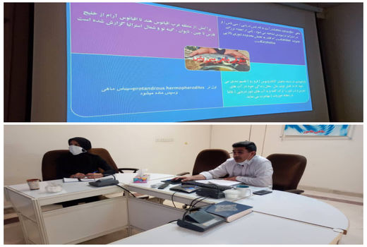 برگزاری وبینار دوره‌های اقتصاد و بازاریابی، بیماری‌ها و پرورش و تغذیه ماهی باس دریایی آسیایی