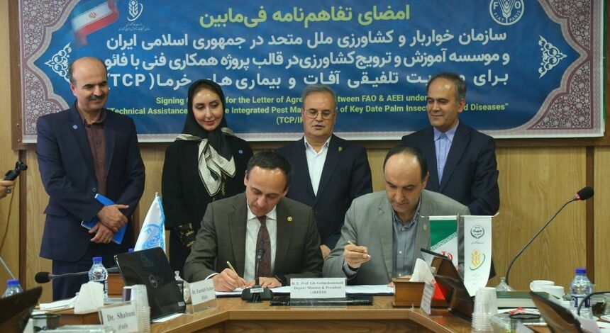 تفاهم‌نامه همکاری برای مدیریت تلفیقی آفات و بیماری‌های خرما امضا شد