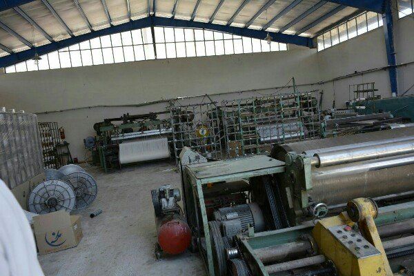 تولیدکننده‌ای سراغ ندارم که ارز 4200تومانی گرفته باشد 