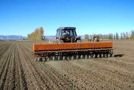 کاشت کلزا در مرودشت آغاز شد
