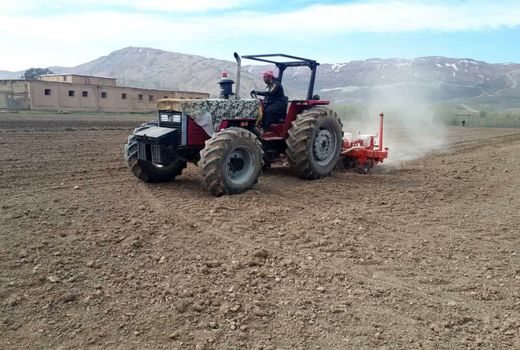 آغاز کشت چغندر قند در شهرستان کیار