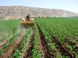 کشت پاییزه محصولات در 90هزار هکتار اراضی سیستان و بلوچستان آغاز شد