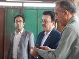 بر ضرورت حمایت پایدار از تنها ذخیره‌گاه ژنتیکی بادام‌های وحشی کشور تاکید شد