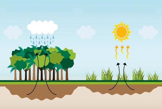 اولویت تخصیص آب تابستانه با محصولات زراعی ریشه دار و باغی است