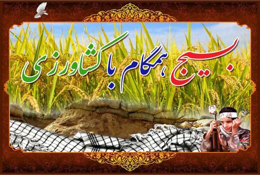 به کارگیری 58 فارغ التحصیل کشاورزی در طرح بسیج همگام با کشاورز آمل