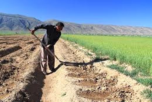 تسهیل خدمات‌رسانی به بهره‌برداران بخش کشاورزی شهرکرد