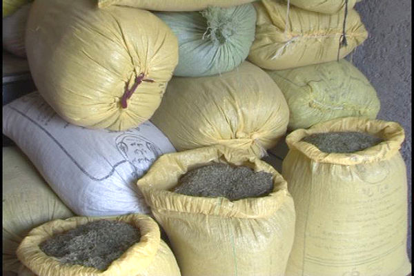 دو انبار داروی گیاهی و ادویه  قاچاق در کرمان پلمپ شد