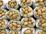 هشدار جدی برای جلوگیری از خسارت بید سیب زمینی در انبارها