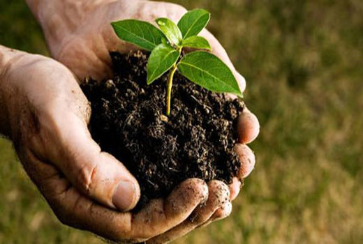 حوزه علمی؛ شریک اجتماعی حل مسائل منابع طبیعی