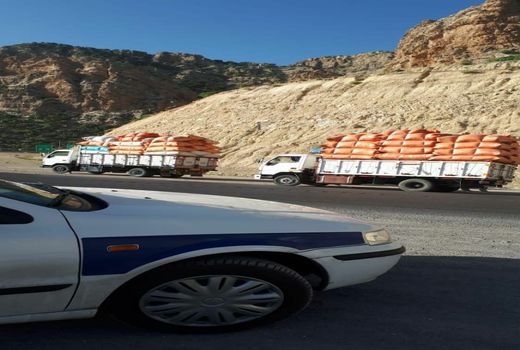 توقیف ۳۰ دستگاه خودرو حامل کاه قاچاق در ایلام 