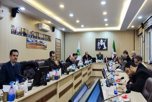 ضرورت تعامل و همگرایی بخش تحقیقات و اجرا در کاشت درخت