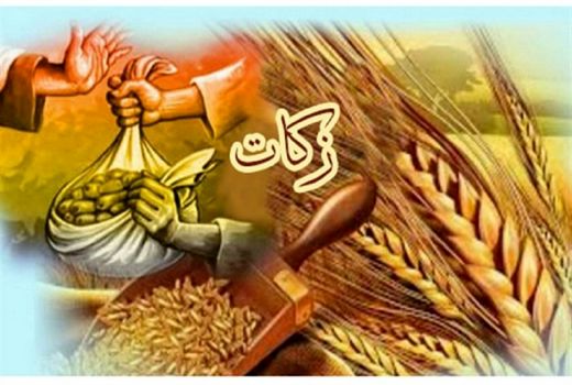 جمع آوری ۱۹ میلیارد تومان زکات در خراسان شمالی 