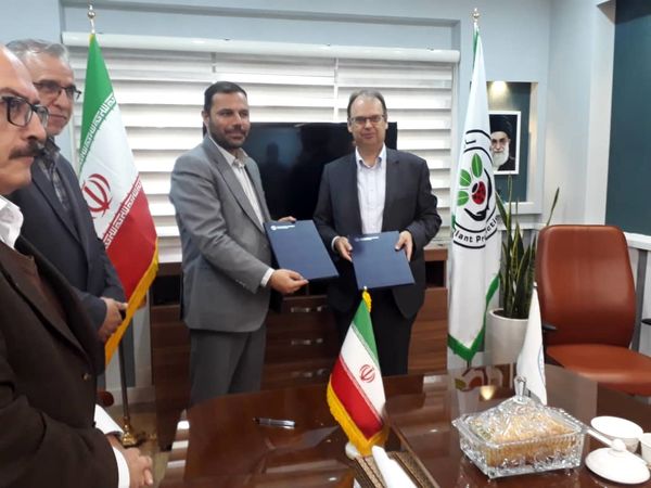 همکاری فائو با ایران در مبارزه با آفت ملخ صحرایی 