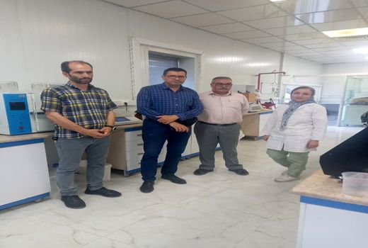 خرید ۳۲ هزار تن گندم از کشاورزان شهرستان البرز