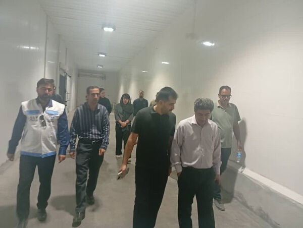نوسازی ساختار مزارع؛ گام شیلات برای افزایش بهره‌وری در سایت های پرورش میگو