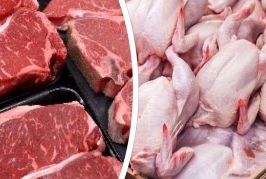 توزیع مرغ و گوشت تنظیم بازار در بوشهر، توزیع میوه هفته آینده 