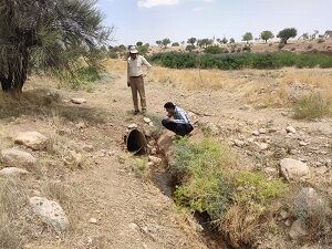 قنات بیدک فسا، جانی تازه گرفت
