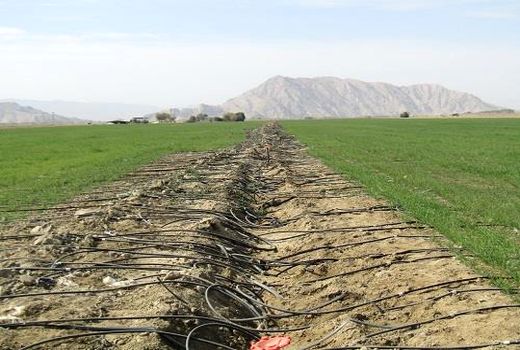 توسعه سیستم های نوین آبیاری در شهرستان ارزوئیه در راستای مقابله با خشکسالی 