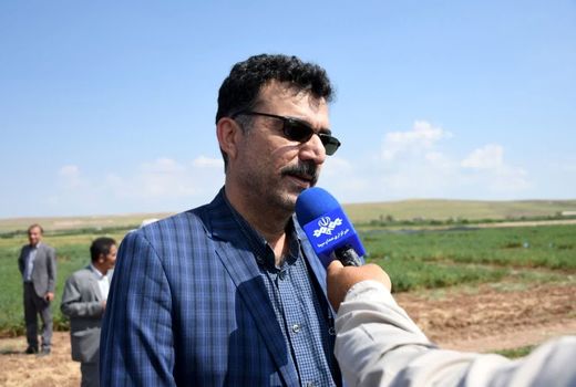 در تأمین بذر هیبرید ذرت به خودکفایی رسیدیم