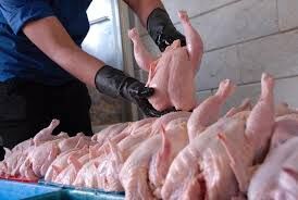 قیمت گوشت مرغ در خراسان شمالی ۱۵۷ هزار و ۵۰۰ ریال تعیین شد