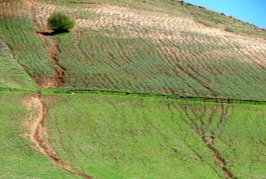 کردستان رتبه نخست کشور در طرح رفع  تداخلات اراضی غیر ملی