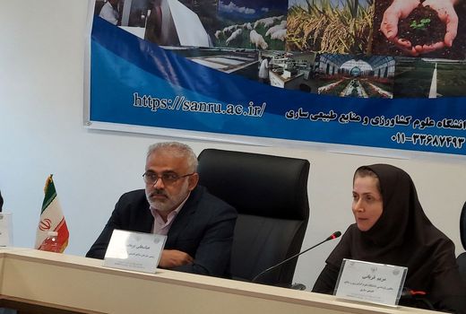 یک سوم نهال‌های طرح مردمی کاشت یک میلیارد درخت به زارعت چوب اختصاص دارد