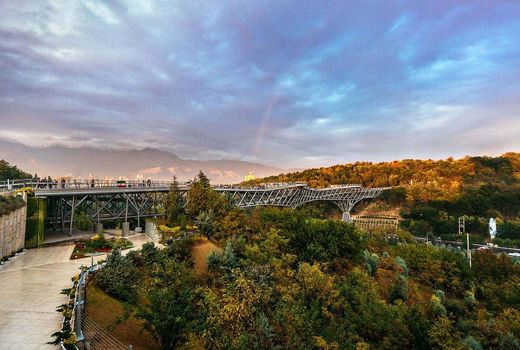 نابودی محیط‌های طبیعی و برپایی پارک‌های مصنوعی  