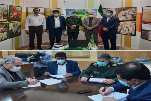 ۶۷۰ هکتار از اراضی دیم ایلام آبی می‌شود