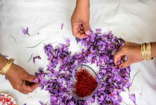 جای پای افغانستان در صادرات زعفران ایران 