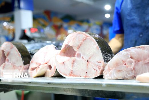 هشدار درباره خرید ماهی و چند خبر کوتاه از دامپزشکی کردستان