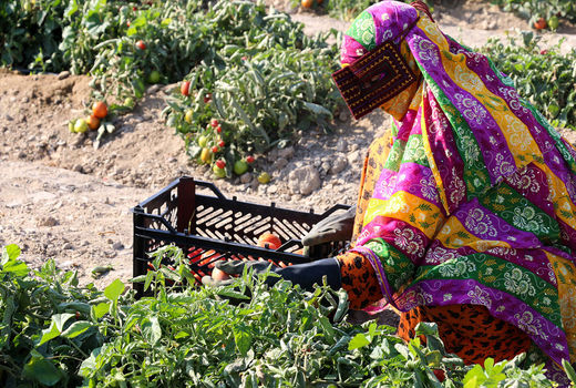 زنان، معماران ساختار جوامع مدرن 