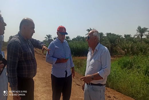 فعالیت چهار اکیپ پایش جهت پیش‌آگاهی از هجوم ملخ صحرایی در آبادان