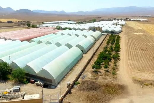 ساخت گلخانه سبزی و صیفیِ به صرفه‌تر در اصفهان