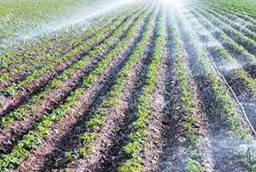 تجهیز ۳۸ هزار هکتار اراضی کشاورزی خراسان شمالی به سامانه آبیاری نوین 