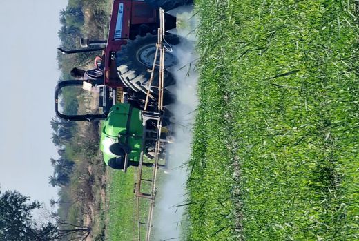 مبارزه شیمیایی علیه علف‌های هرز گندم در آبادان