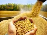 نظارت بهداشتی بر بیش از ۳۴ هزار تن نهاده دامی در بوشهر