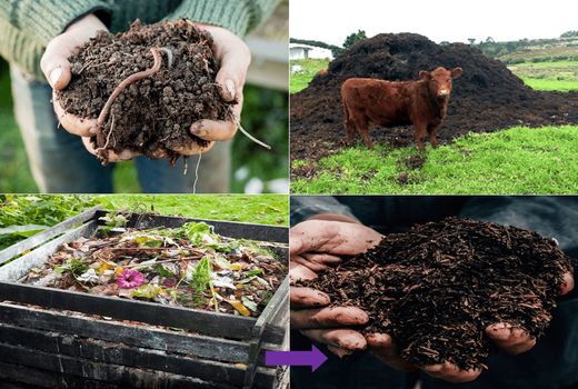 رسیدن به کشاورزی پایدار، در گرو استفاده از کودهای آلی است
