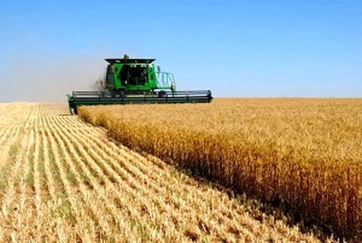 امهال ۵۶۴ پرونده تسهیلات کشاورزی 