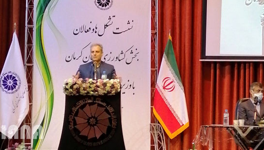 سفر وزیر جهاد کشاورزی به استان کرمان