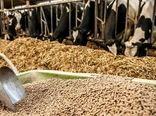 توزیع ۴۴۵ تن کنسانتره دامی بین دامداران شهرستان آوج
