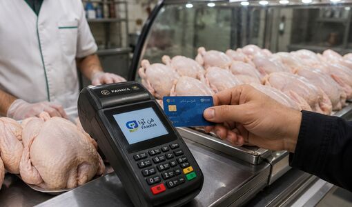 راه‌اندازی ۸۴۰ کارتخوان فناوا؛ گام قزوین برای هوشمندسازی و شفافیت بازار مرغ