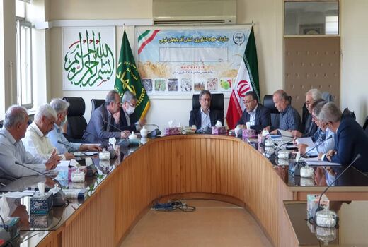 خرید تضمینی ۱۶۲ هزار تن گندم مازاد زارعین آذربایجان غربی