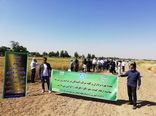 مدیر جهاد کشاورزی شهرستان کرج 