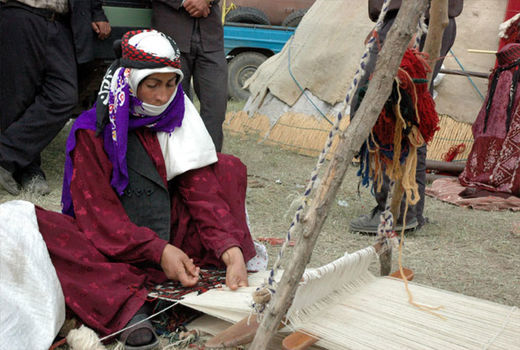 60 درصد نوغانداری توسط زنان صورت می‌گیرد