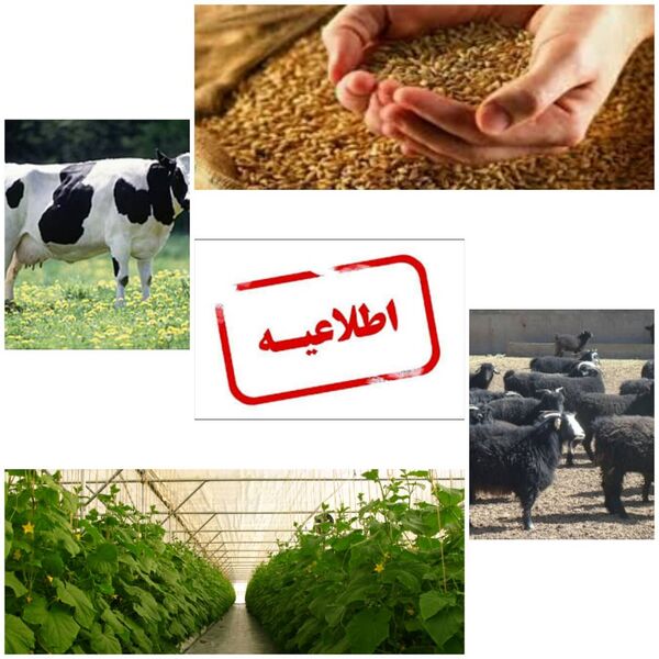 ابلاغ تسهیلات متنوع در بخش های مختلف کشاورزی سربیشه