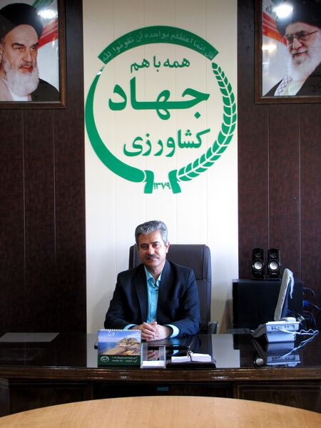 برداشت لیموی پرشین لایم در شهرستان جهرم