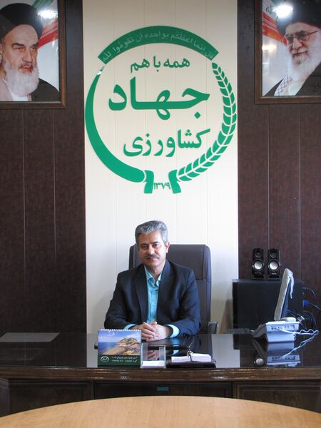 برداشت لیموی پرشین لایم در شهرستان جهرم