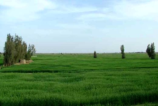  رفع تداخل بیش از ۲۵ هزار هکتار از اراضی ملی و کشاورزی درسیستان