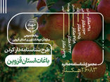 اینفوگرافی | طرح  شناسنامه دار کردن باغات استان قزوین